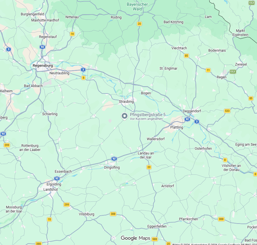Ein Auszug aus Google Maps mit Salching in der Mitte.